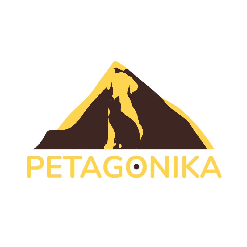 PETAGONIKA